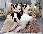 FRANCIA BULDOG fotó ágynemű 140x200 cm 7 szett csomag Ágynemű mérete: 140x200 cm, A csomag tartalma: 7 Készletcsomagolás