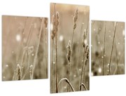 Kép - Harmonikus rét (90x60 cm)