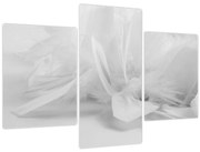 Kép - Tollak (90x60 cm)