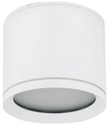 Vivo mennyezeti spotlámpa