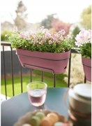 Virágtartó műanyag rózsaszín Elho 70 cm x 70 x 1 cm