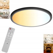 Led mennyezeti lámpa Kicsi 29CM kerek fekete panel a szobába Világos 24W 3200l