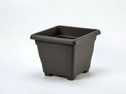 Plastia Virágcserép Begonia 60 x 60, antracit