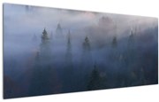 Kép - erdő a ködben, Carpathians, Ukraina (120x50 cm)