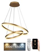 NEDES LED állítható fényerejű csillár kábellel LED/70W/230V 3000-6500K + DO J4310/G
