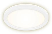 Briloner 7150-416 - LED Mennyezeti lámpa SLIM LED/12W/230V á. 19 cm