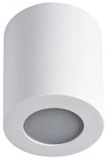 Fürdőszobai mennyezeti lámpa SANI 1xGU10/10W/230V IP44 fehér