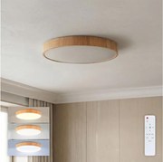 Brilagi - LED dimmelhető mennyezeti lámpatest POOL LED/50W/230V átm. 40 cm fa dekor +távirányító
