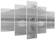 Kép - Szerelmes hattyúk (150x105 cm)