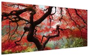 Red Japanese Maple, Portland, Oregon képe (120x50 cm)