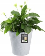 Virágtartó Kaspó Fedő Műanyag Növény Kerek 30 cm Szürke