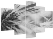 Kép - Pitypang (150x105 cm)