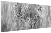 Kép - Wild Meadow (120x50 cm)