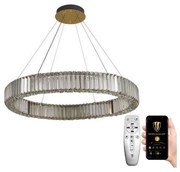 NEDES LED Dimmelhető csillár zsinóron LED/50W/230V 3000-6500K króm/arany + távirányító ND3531