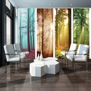 Fotótapéta - Erdők (152,5x104 cm)