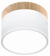 LED Mennyezeti lámpa TUBA LED/9W/230V fehér/bézs