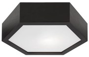 Mennyezeti lámpa HEX 1xE27/60W/230V á. 32 cm fenyő fekete