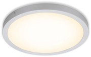 Briloner Briloner 7143-014 - LED Mennyezeti lámpa FIRE LED/24,5W/230V 3000K BL1099