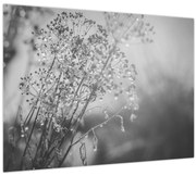 Kép - Mező az eső után (70x50 cm)