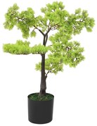 zöld cserepes mű ciprusbonsai 60 cm