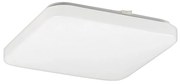 Rabalux 2287 - LED Mennyezeti lámpa ROB 1xLED/32W/230V szögletes
