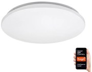 Rabalux Rabalux 71035 - LED RGB Dimmelhető mennyezeti lámpa CERRIGEN LED/24W/230V RL71035