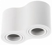 Lámpa Mennyezeti lámpatest AVEIRO DUO BIS, max. 250V, 50/60Hz, 160x80x90mm, IP20, max 20W*2, kör, fehér