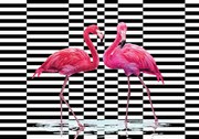 Fotótapéta - Flamingo 3D (152,5x104 cm)