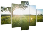 Egy fa képe a mezőn (150x105 cm)