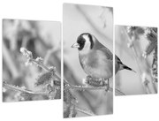 Kép - Egy madár télen (90x60 cm)