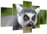 Makimajom képe (150x105 cm)