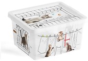 KIS Tárolódoboz C-BOX XXS 2l, cica