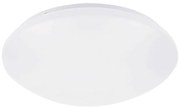 Rabalux Rabalux 71134 - LED Mennyezeti lámpa érzékelővel LUCAS LED/24W/230V IP44 4000K RL71134