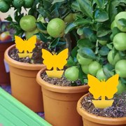 Rovarcsapda - ragadós pillangó