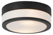 Modern kültéri mennyezeti lámpa fekete 23 cm IP44 - Flavi