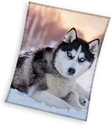 Kutyás Husky coral fleece polár takaró 150x200cm