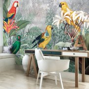 Fotótapéta - Papagájok (152,5x104 cm)