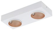 Eglo 39374 - LED Dimmelhető mennyezeti lámpa RONZANO 2xLED/3,3W/230V
