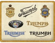 Fém tábla Triumph - Logo Evolution