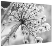 Kép - Virág télen (70x50 cm)
