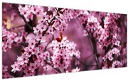 Kép - Rózsaszín sakura (120x50 cm)