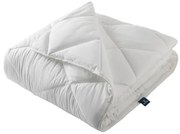 Microfiber Paplan