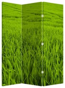 Paraván - Fű (126x170 cm)