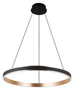 Rio LED több ágú függesztett lámpa