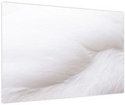 Kép - A toll részlete (90x60 cm)