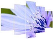 Kép - Virág (150x105 cm)