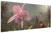 Kép - Martin Johnson Heade, Cattleya Orchid and Three Hummingbirds, reprodukciók (120x50 cm)