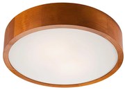 LED mennyezeti lámpa 1xLED/24W/230V