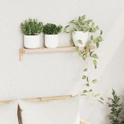 Fali Polc 62x10x12,5 cm Tömör Fa Dió