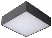 Lucide 27816/10/29 - LED Fürdőszobai mennyezeti lámpa ROXANE LED/12W/230V IP54